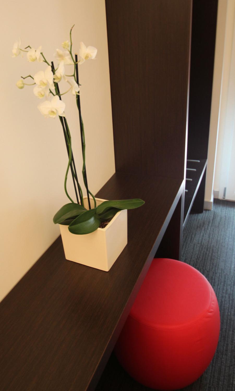 Hotel Firenze Saronno Esterno foto